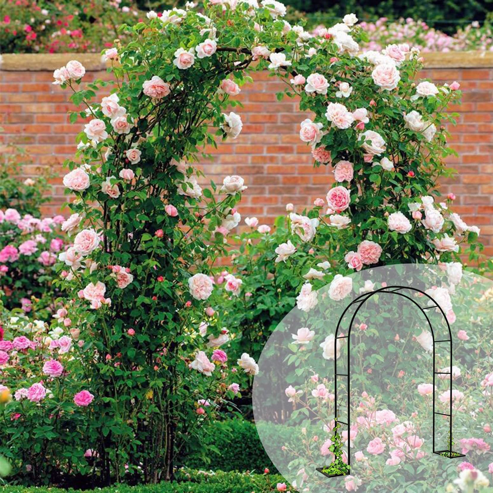 Amazon.co.jp: バラアーチ ローズアーチ ガーデンアーチ鉄製